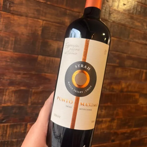 Punto Maximo Syrah 2021